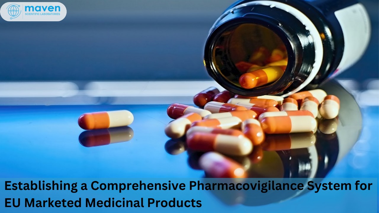 Establishing A Comprehensive Pharmacovigilance System For EU Marketed Medicinal Products