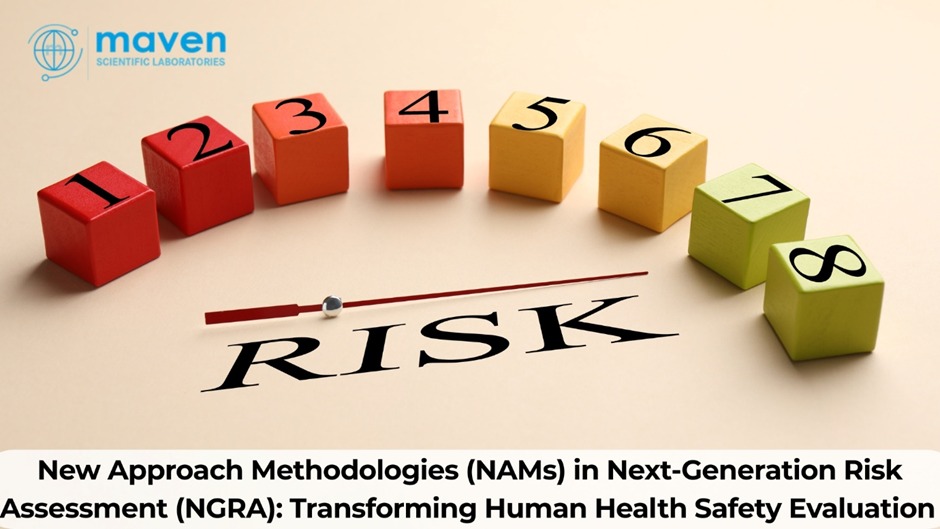 New Approach Methodologies (NAMs) In Next-Generation Risk Assessment (NGRA): Transforming Human Health Safety Evaluation