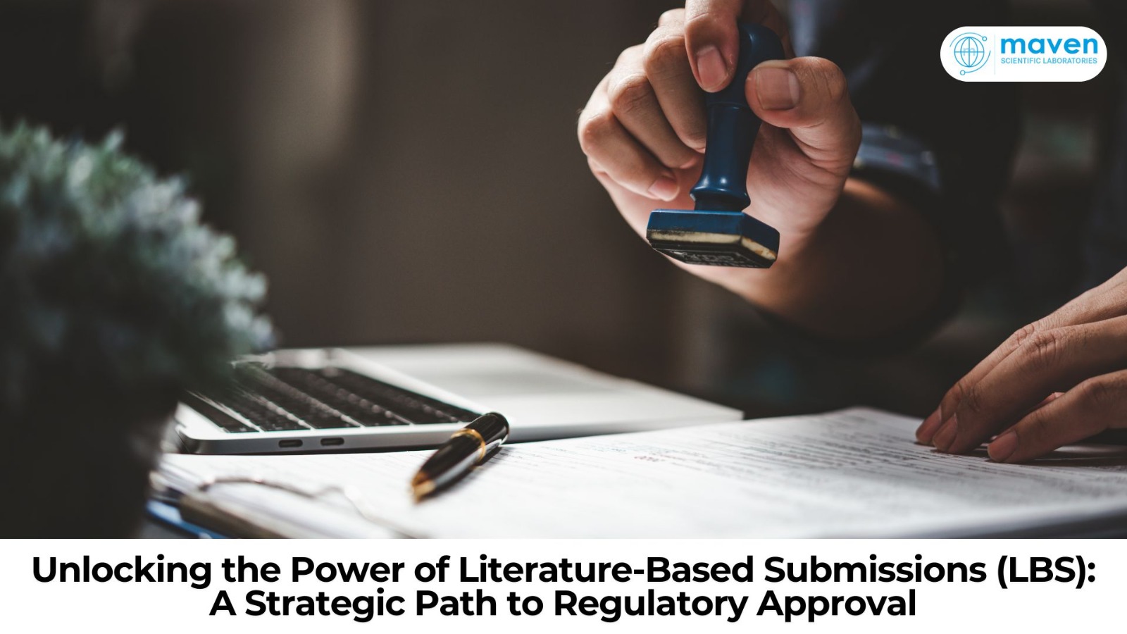 Unlocking The Power Of Literature-Based Submissions (LBS): A Strategic Path To Regulatory Approval
