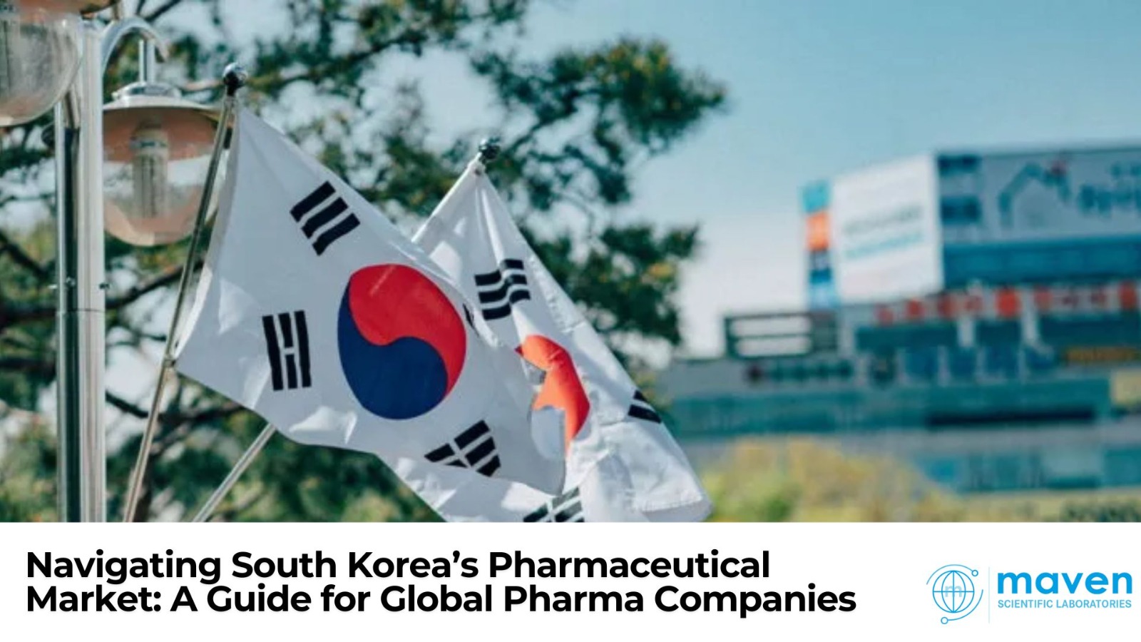 Navigating South Korea’s Pharmaceutical Market: A Guide For Global Pharma Companies