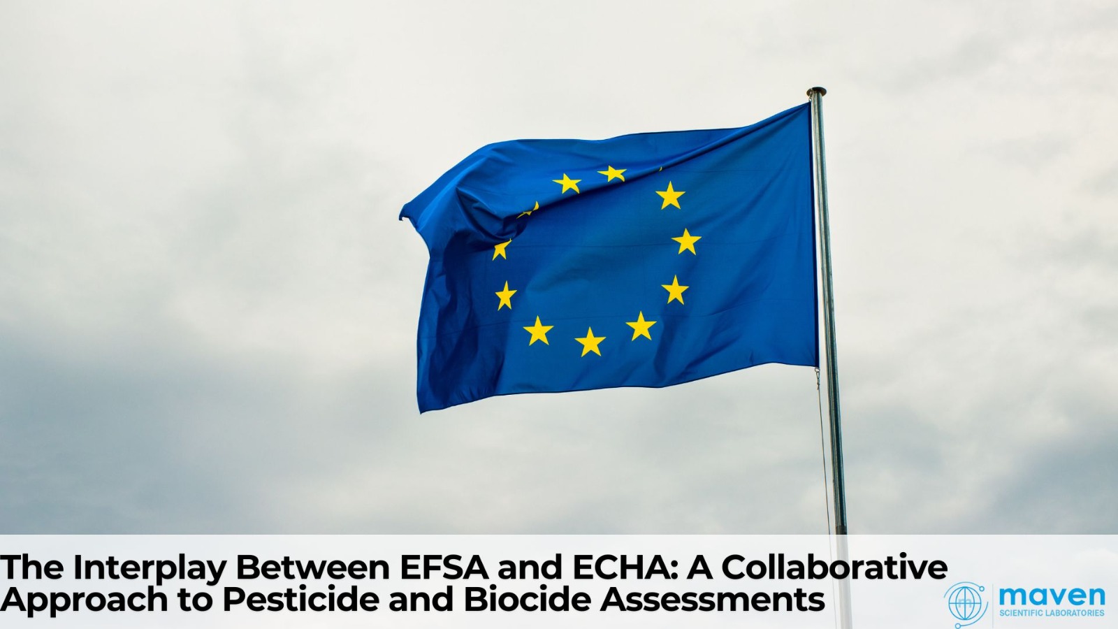 The Interplay Between EFSA And ECHA: A Collaborative Approach To Pesticide And Biocide Assessments