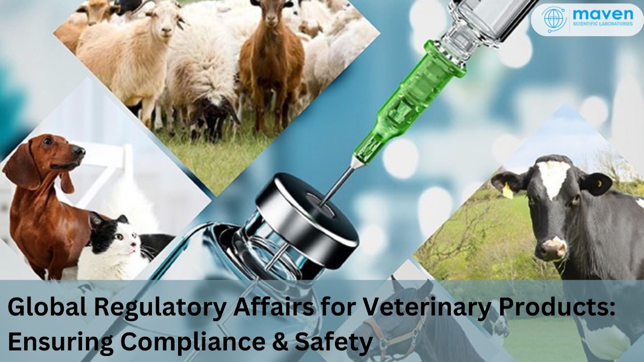 Global Regulatory Affairs For Veterinary Products: Ensuring Compliance & Safety