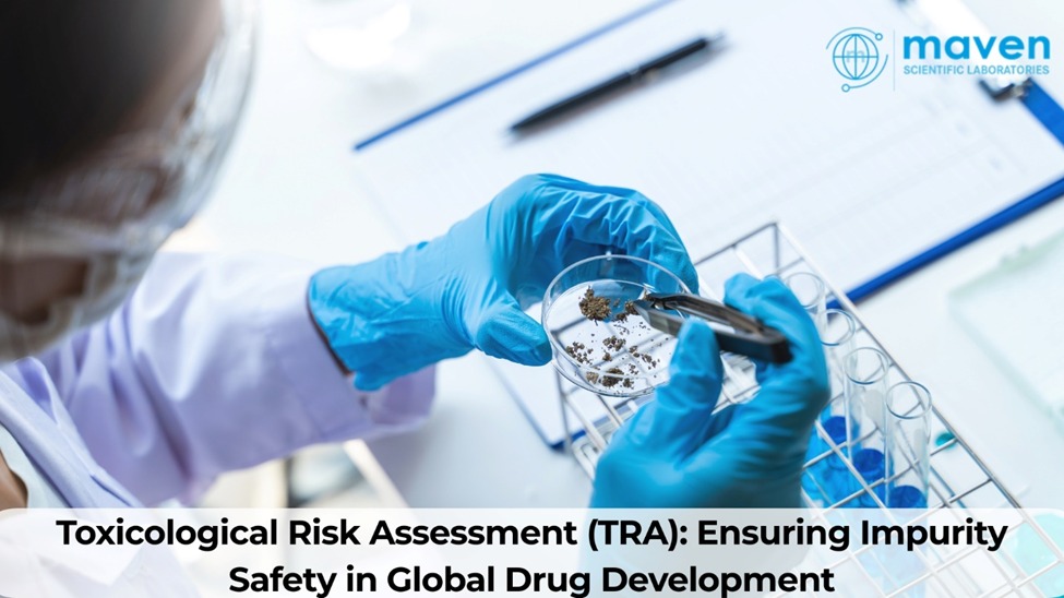 Toxicological Risk Assessment (TRA): Ensuring Impurity Safety In Global Drug Development