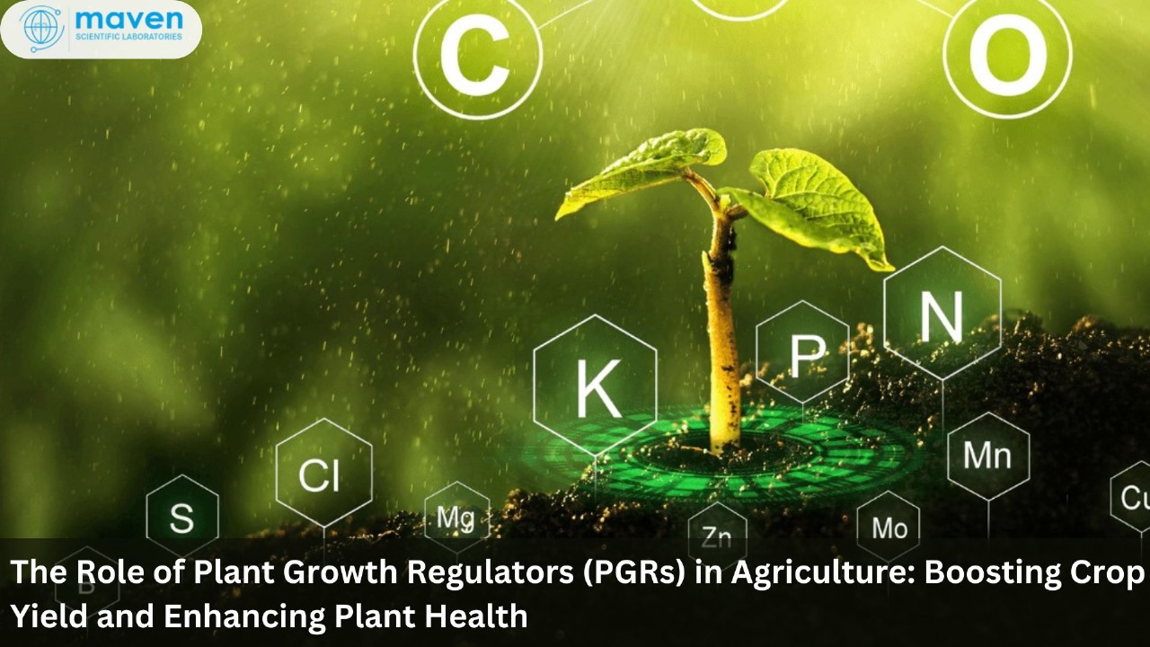 The Role Of Plant Growth Regulators (PGRs) In Agriculture: Boosting Crop Yield And Enhancing Plant Health