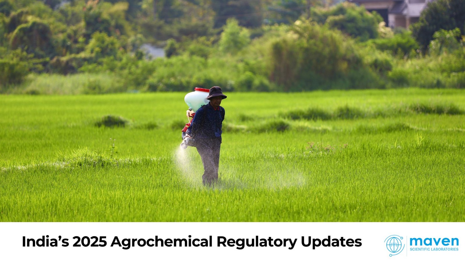 India’s 2025 Agrochemical Regulatory Updates: What Manufacturers Need To Know
