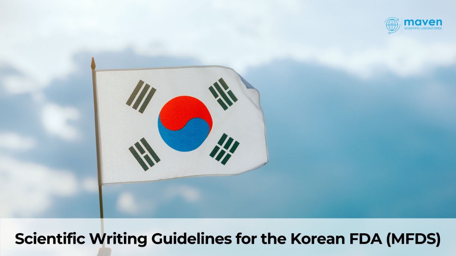 Scientific Writing Guidelines For The Korean FDA (MFDS)